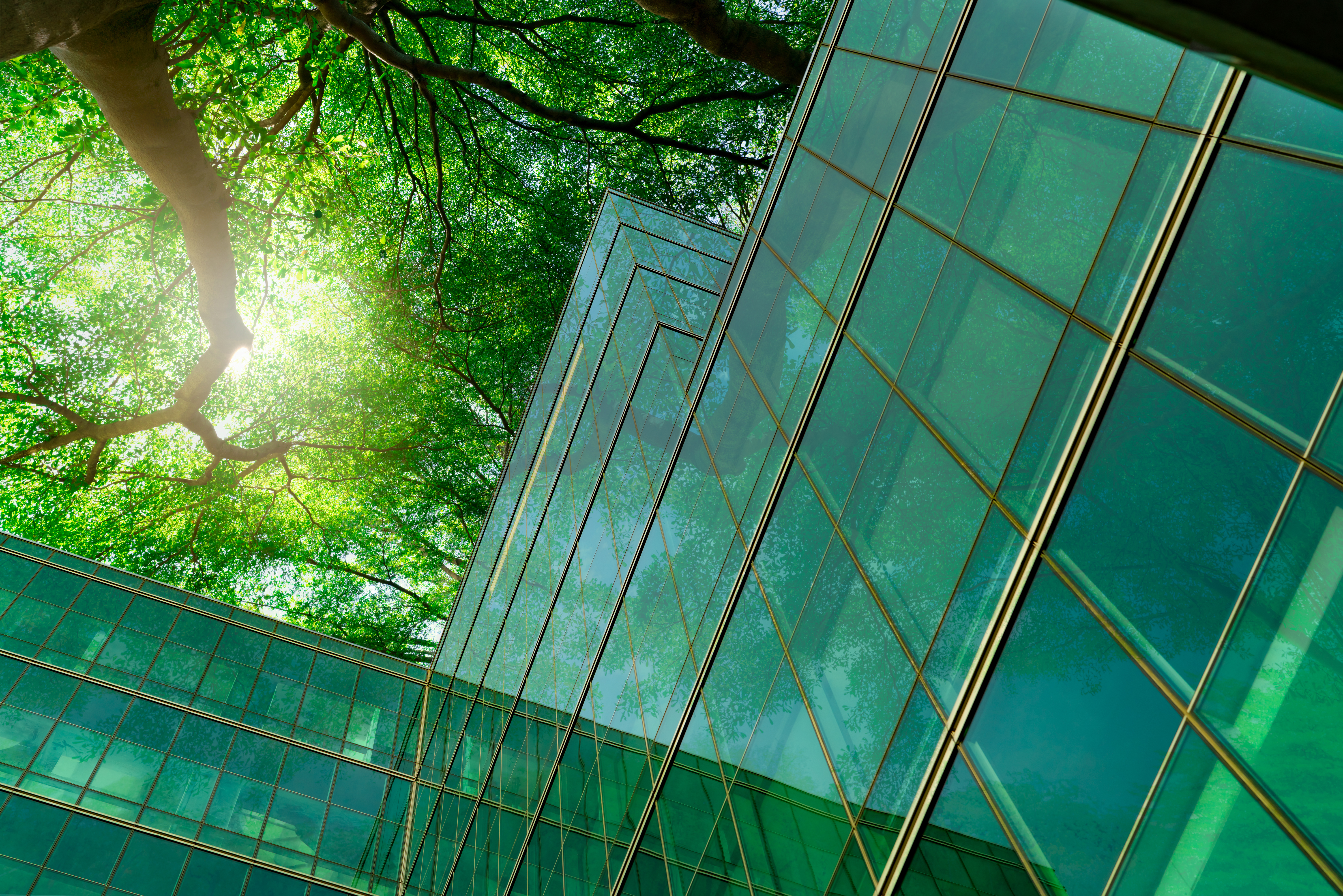 Green Glass Building Canopy