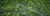 Paths to Net Zero | Insights, Technologies and Solutions
